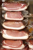 Speck 2