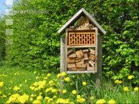 Insect hotel 3