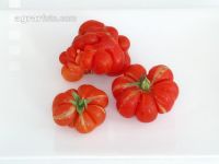 Reisetomate 2
