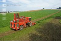Beet harvest aerial 11