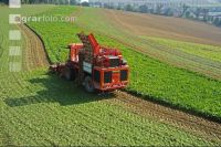 Beet harvest aerial 5
