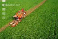 Beet harvest aerial 7