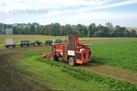 Beet harvest aerial 8