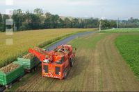 Beet harvest aerial 9