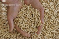 Pellets 11