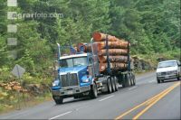 Trucks J 9