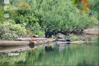 Vancouver Island J 7