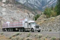 Trucks J 5