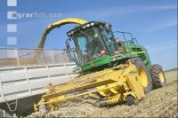 Triticale Ernte J 4