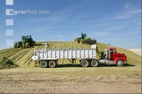 Triticale Ernte J 2
