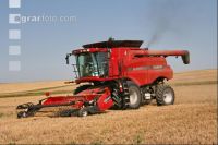 Gerste Ernte J 36