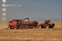 Gerste Ernte J 35