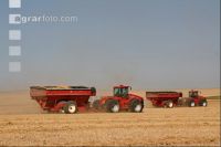 Gerste Ernte J 34