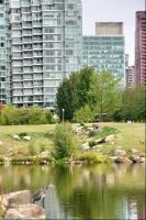Vancouver J 2