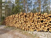 Holzlager 7