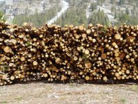 Holzlager 6