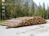 Wood storage 5