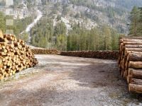 Wood storage 3