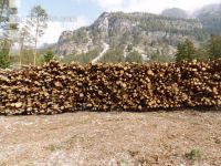 Holzlager 2