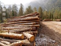 Wood storage 1