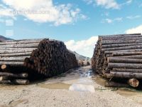 Holz Nasslager 6