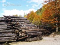 Holz Nasslager 7