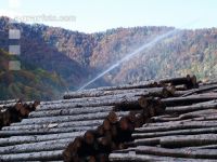 Holz Nasslager 3