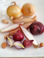 Zwiebel gemischt 2