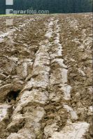 Soil 6