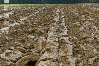 Soil 7