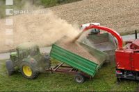Chaff Piber 27