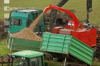 Chaff Piber 32