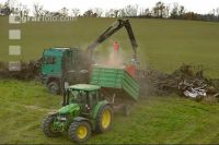 Chaff Piber 33