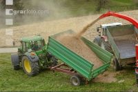 Chaff Piber 37