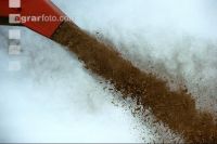 Chaff Piber 38