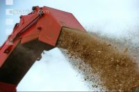 Chaff Piber 39