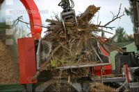 Chaff Piber 42