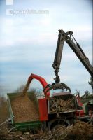 Chaff Piber 43