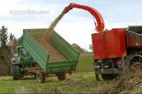 Chaff Piber 45