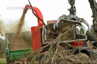 Chaff Piber 47