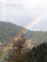 Regenbogen 2