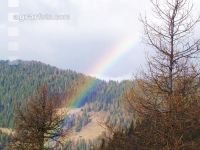 Regenbogen 1