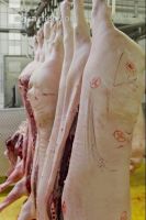 Schwein zerteilen 14