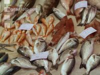 Am Fischmarkt 2