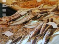 Am Fischmarkt 1