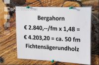 Wertholz Submission 18
