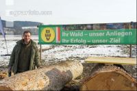 Wertholz Submission 4
