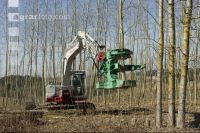 Energieholz Ernte 32