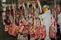 Rind schlachten 11