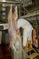 Rind schlachten 22